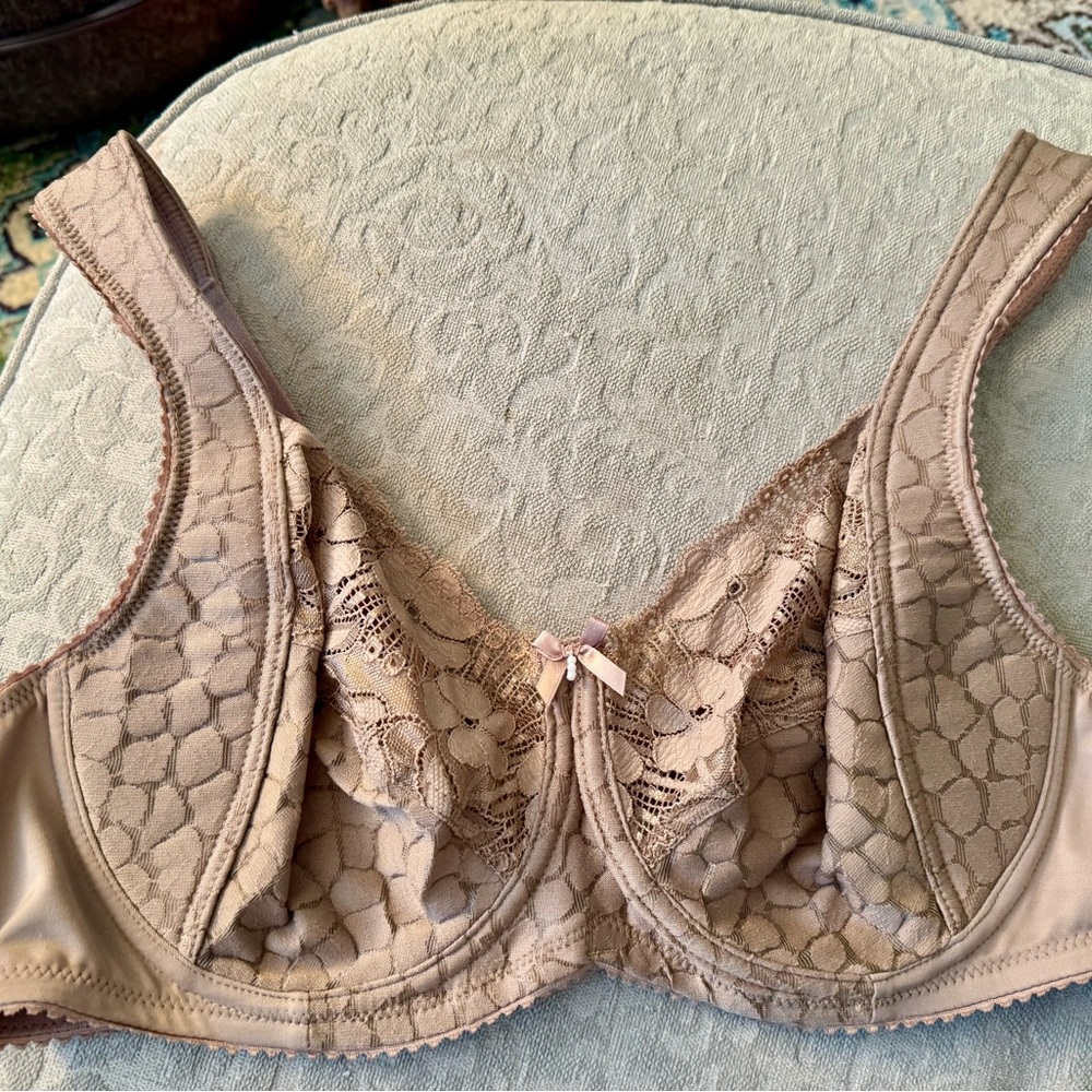 Elegant Lace Women's Bra in Tan